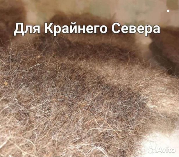 Носки из собачьей шерсти