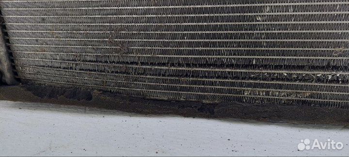 Радиатор основной Ford Focus 2 2008