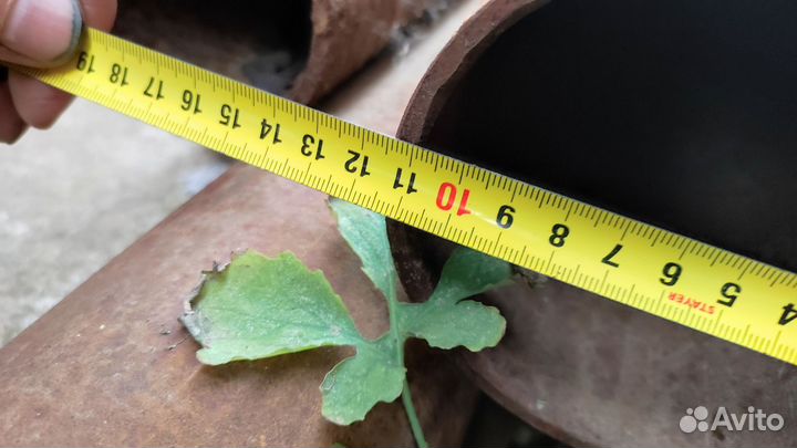 Труба металлическая 100 круглая бу