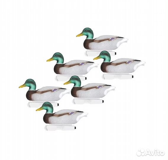 Чучело Кряква Селезень 