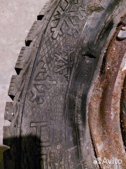 Gislaved Nord Frost 5 205/65 R15