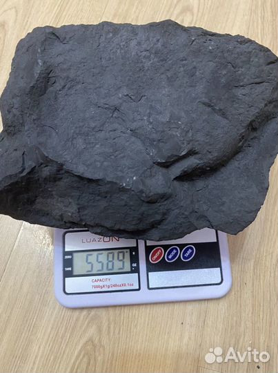 Шунгит Карелия