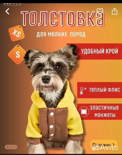 Худи для маленьких собак