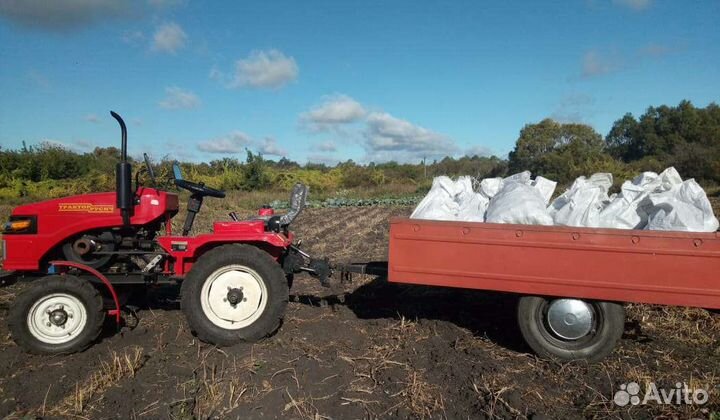 Продам картофель