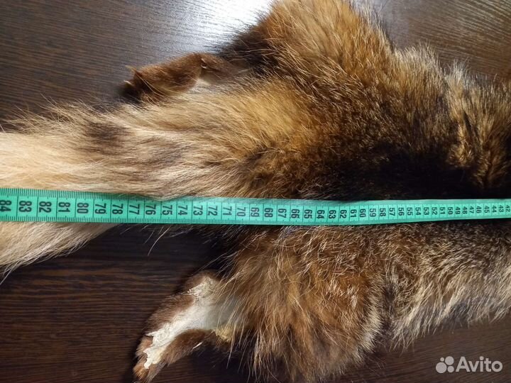 Шкура енота