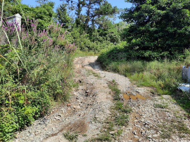 Участок 6 сот. (ИЖС)