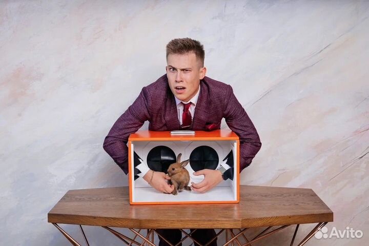 Ведущий тамада на свадьбу, выпускной, корпоратив