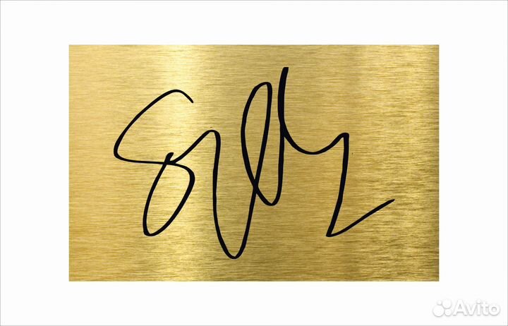 Suzi Quatro золотой винил в рамке