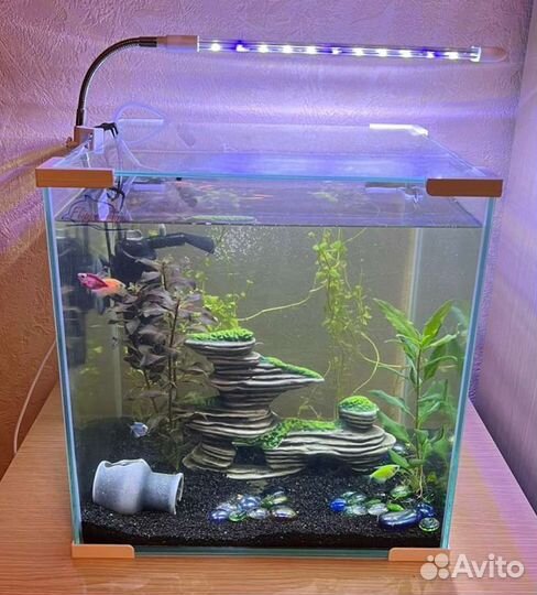 Кубические аквариумы Нано Куб NanoKube