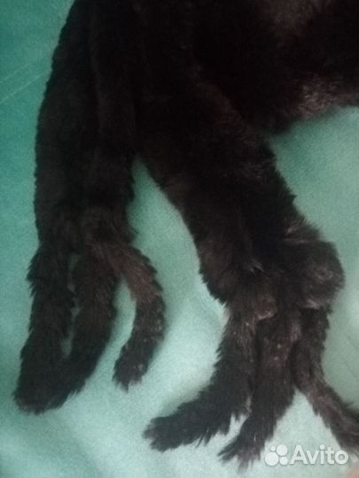 Шапка капюшон капор кролик