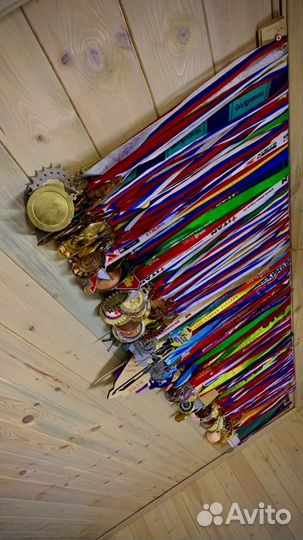 Прокат лыж и велосипедов, сервис,тренинг