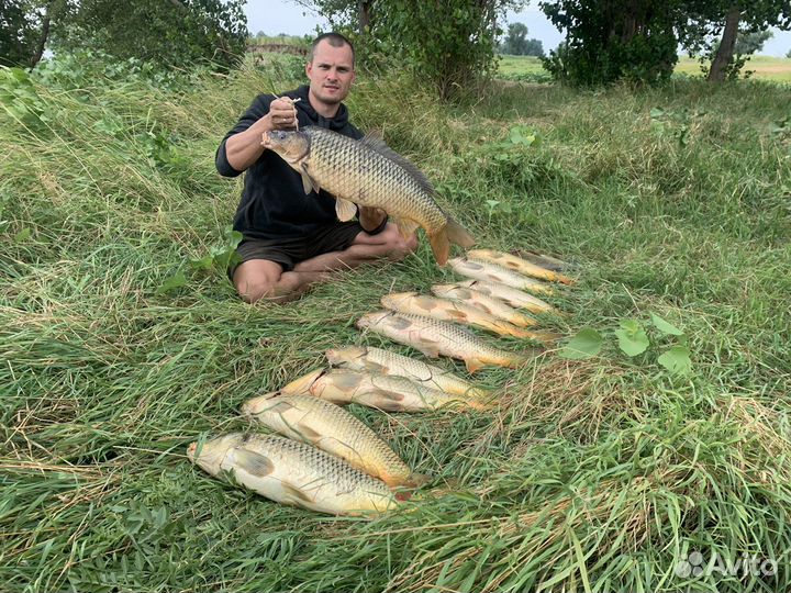 Комплект 50шт макуха пылящая на сазана