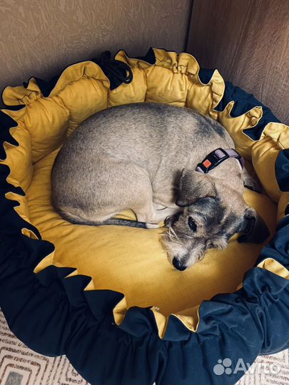 Лежанка для собак и кошек