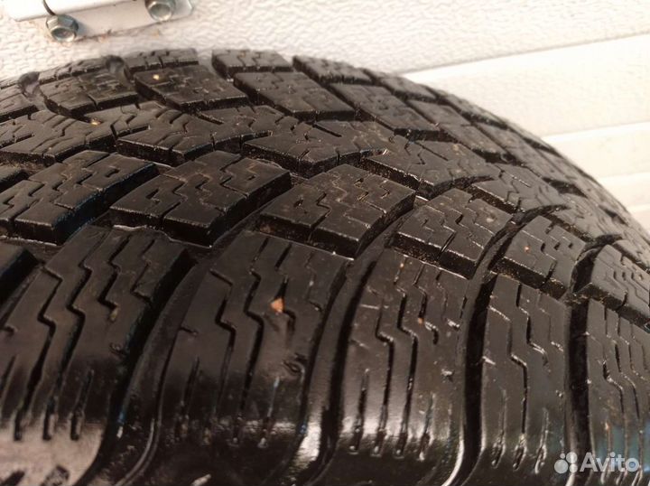 Шины зимние gislaved nord frost