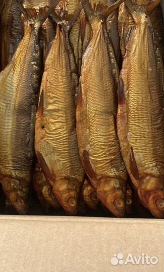 Рыба копченная, Сиг Из Армении,Свежий,опт/розница