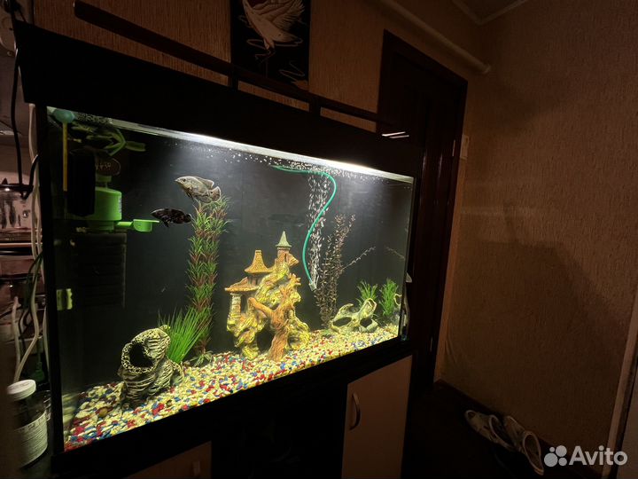 Аквариум 220 литров