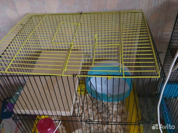 Клетка для джунгарского хомяка