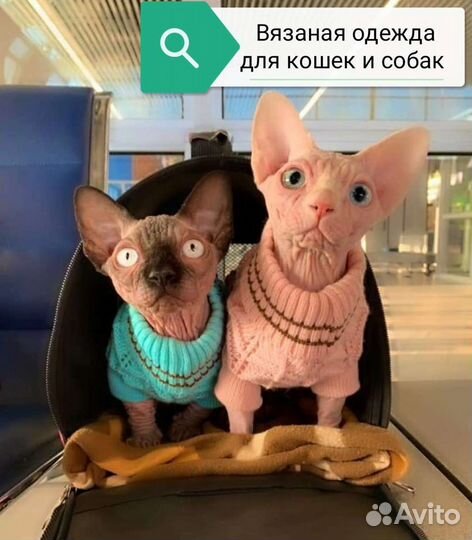 Вязаная одежда для животных