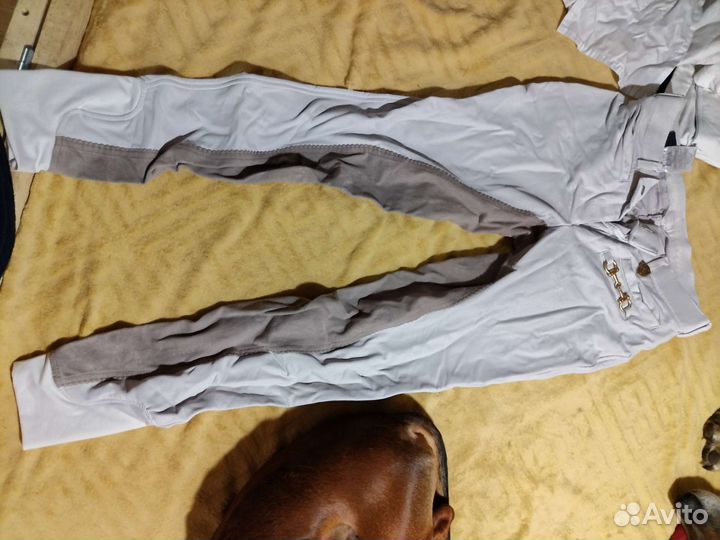 Одежда для соревнований по конному спорту