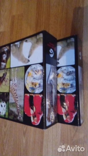 Энциклопедия для детей