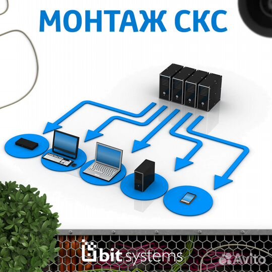 Монтаж локальной сети, обслуживание