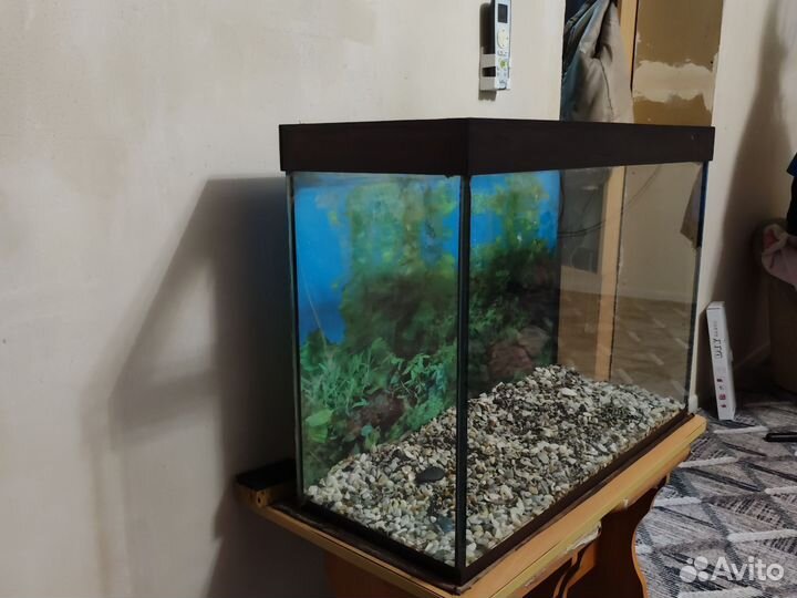 Аквариум 130 литров