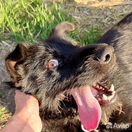 Подросток Кеша 1,5 года