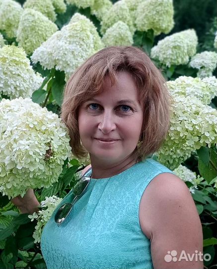 Администратор