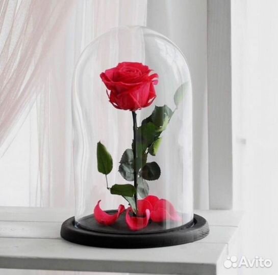 Розы в колбе любые