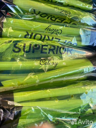 Сельдерей свежий