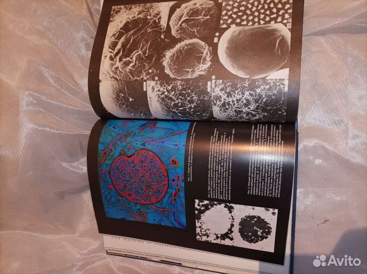 Наука и человечество 1976