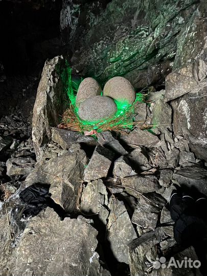 Выходные в Териберке