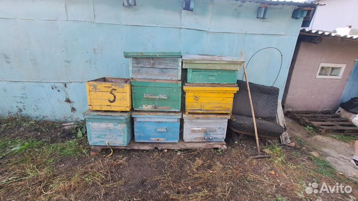 Улей для пчел бу