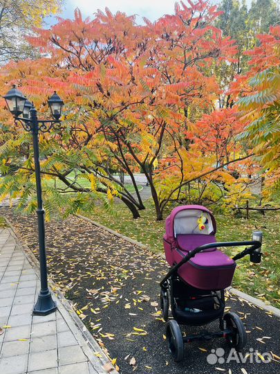 Коляска adamex reggio 3 в 1