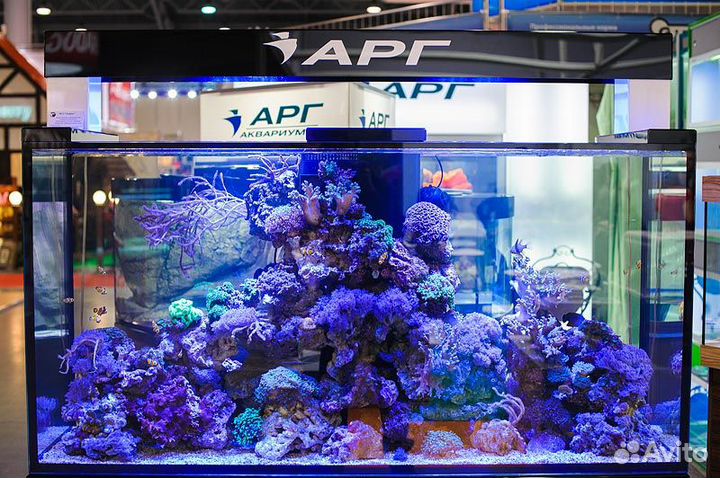 Аквариум на заказ по вашим размерам Казань