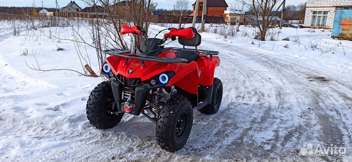 Квадроцикл Motax Grizlik 200 Ultra