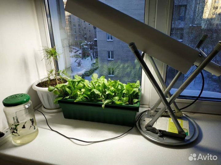 Для растений фито гроубоксов LED 80W