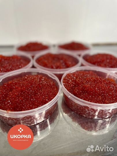 Красная икра Кеты 2023