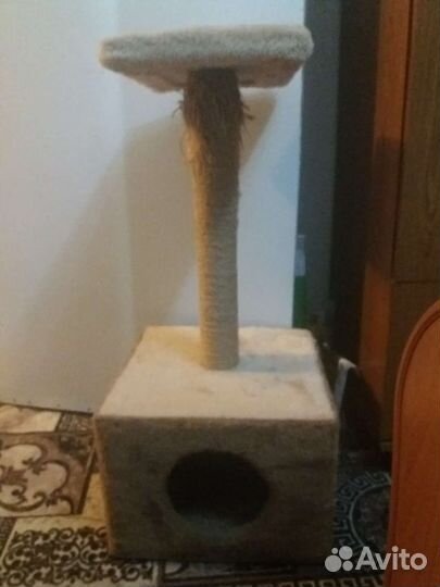 Когтеточка