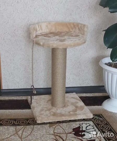 Когтеточка для кошек