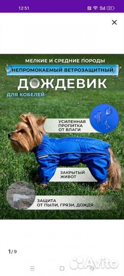 Дождевик для средней собаки