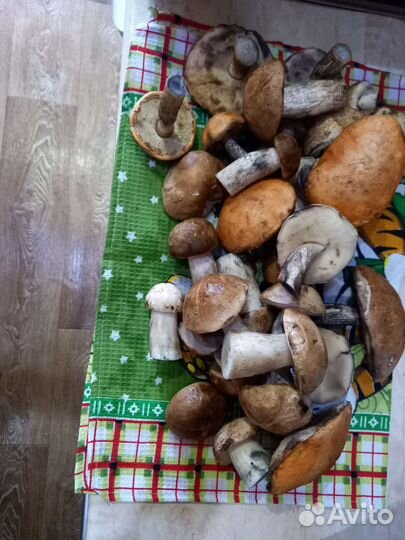 Продам белые грибы