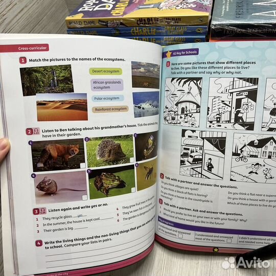 Power Up 5 (PB, AB, HB, CD)