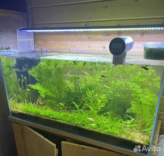 Аквариумные удобрения рыбы гуппи