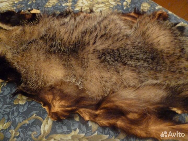 Шкурка барсука натуральная
