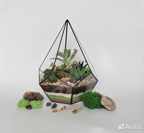 Флорариум с суккулентами