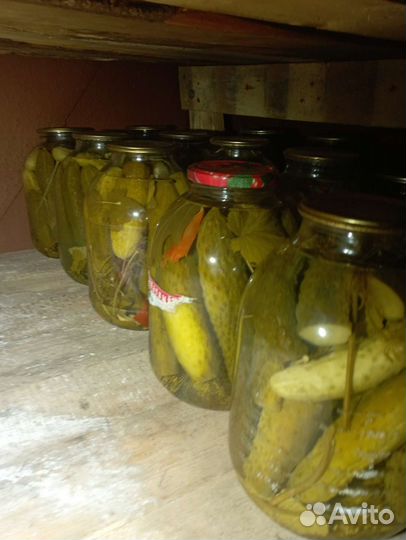 Огурцы маринованные