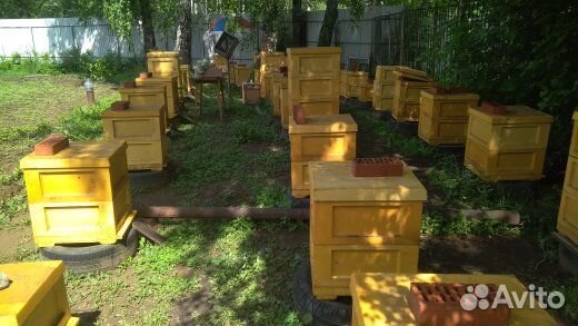 Ульи ППУ бу