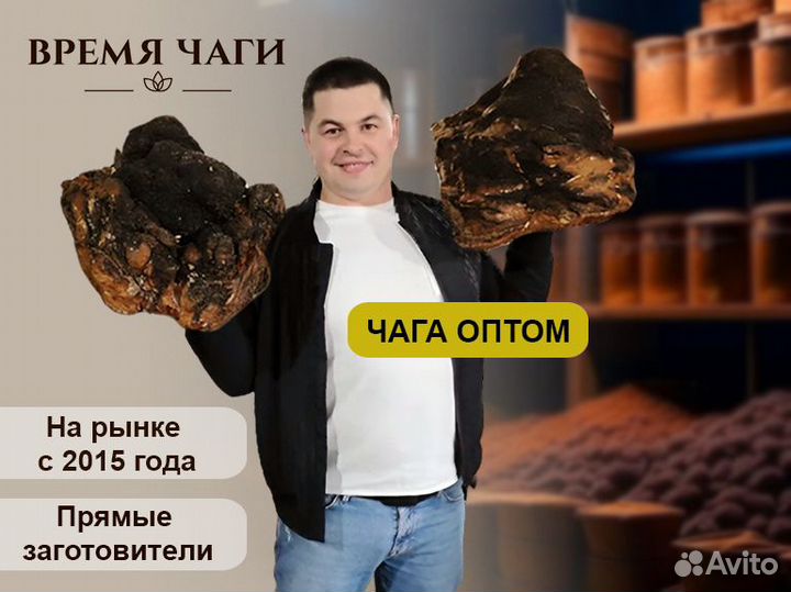 Чага опт / любые виды и объемы