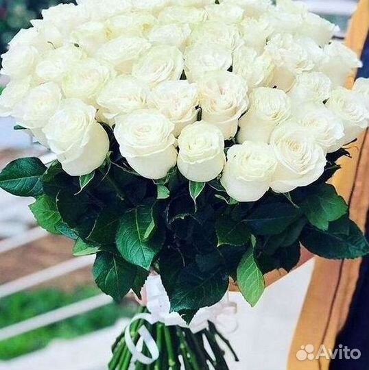 Высокие розы Гигантские розы с доставкой